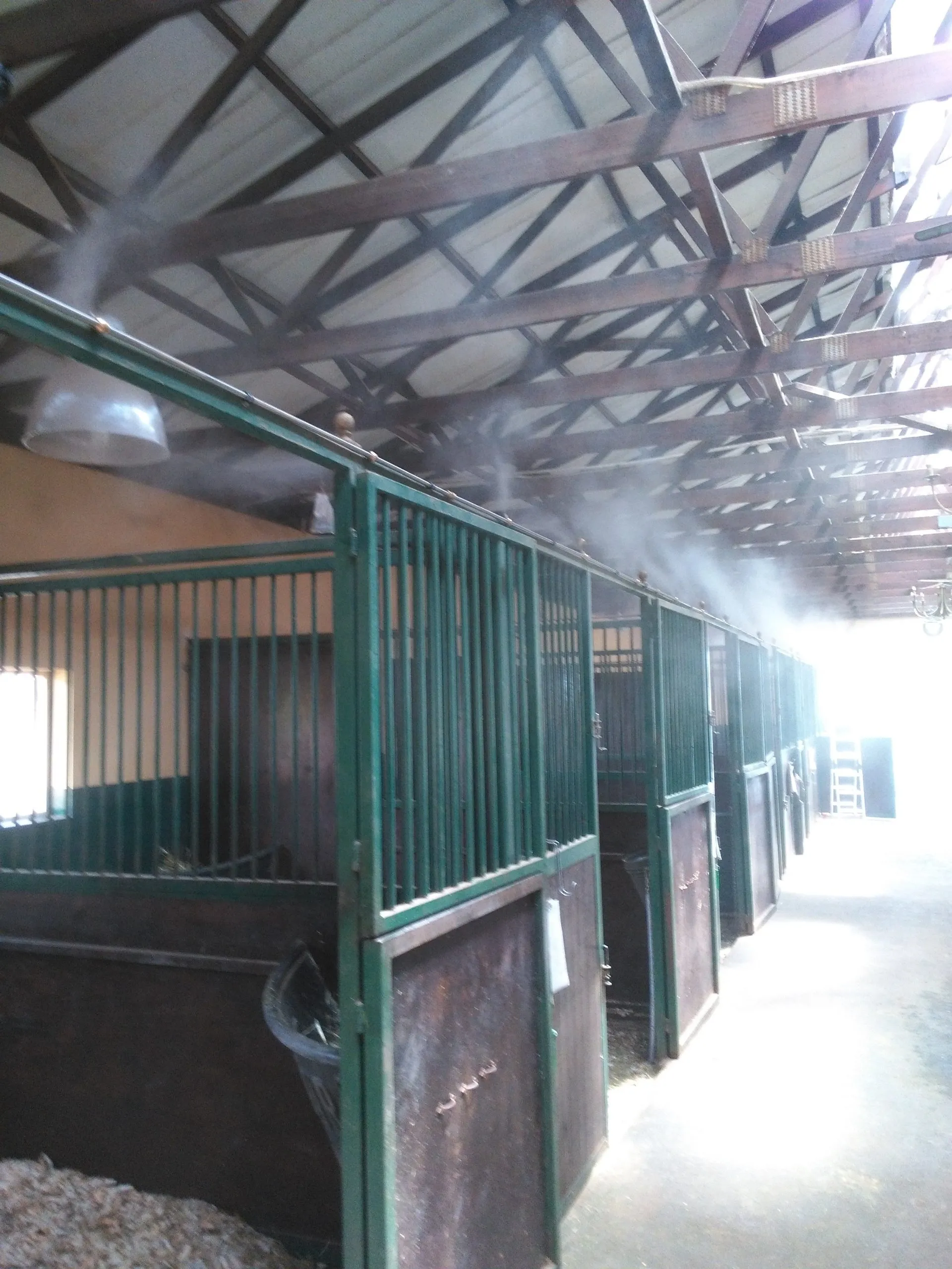 Livestock Cooling Solution