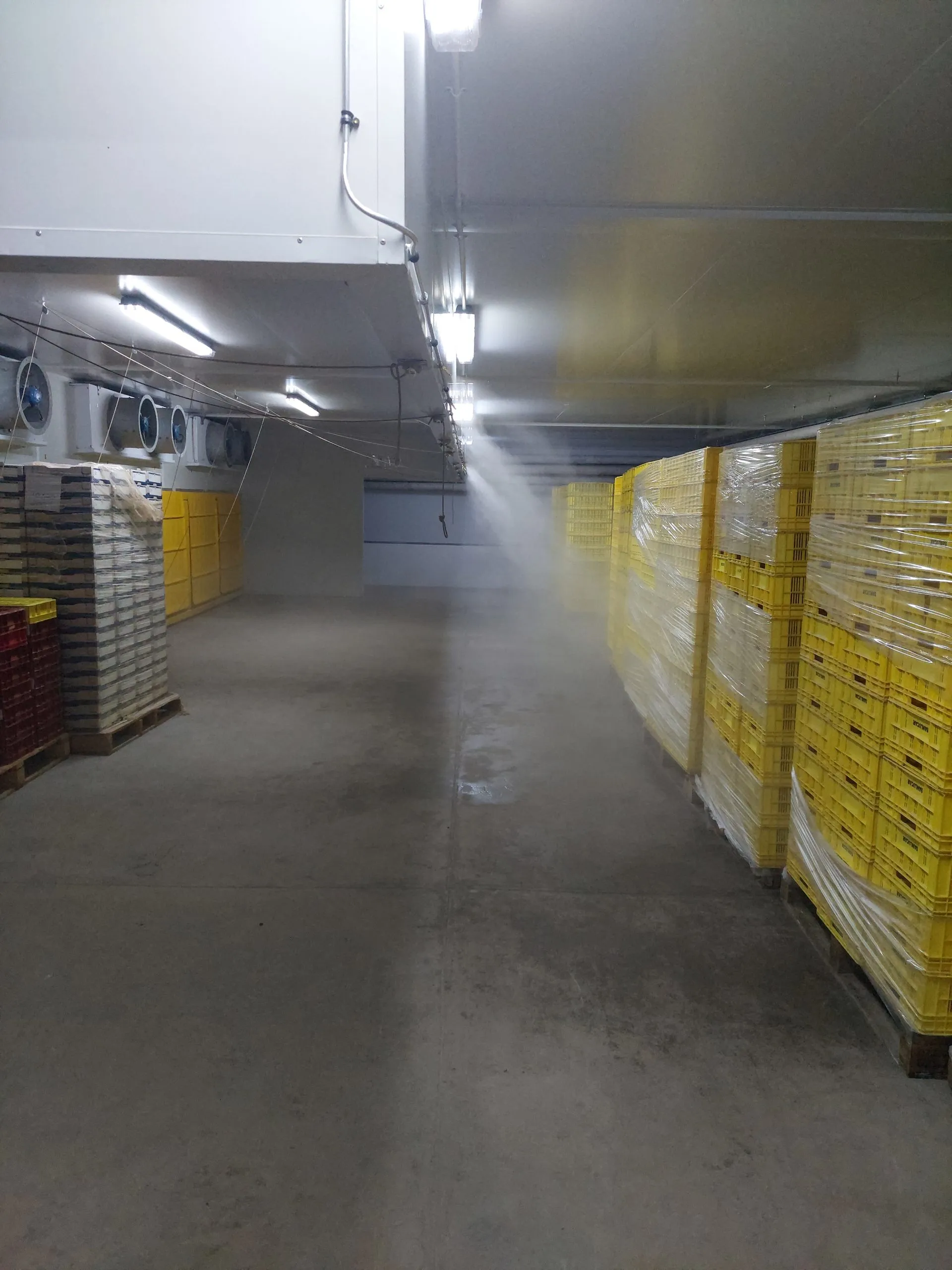 Cold Room