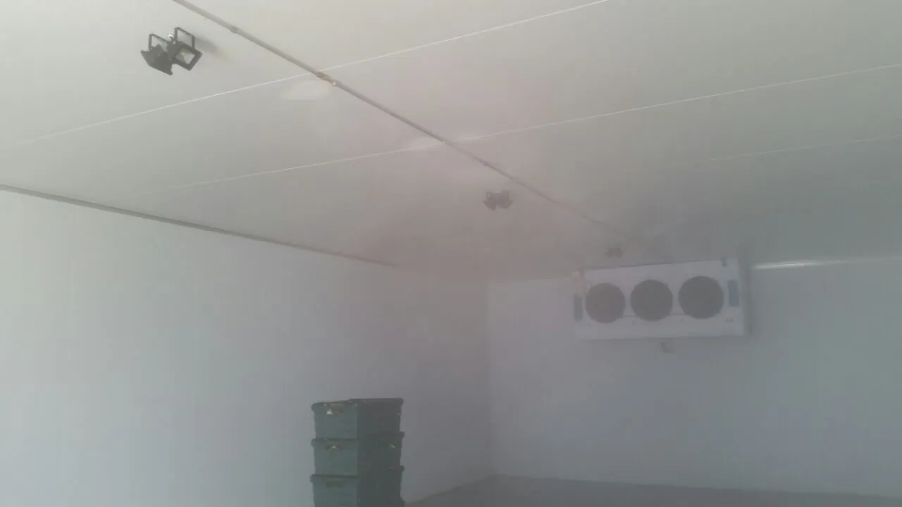 Cold Room Humidity Control