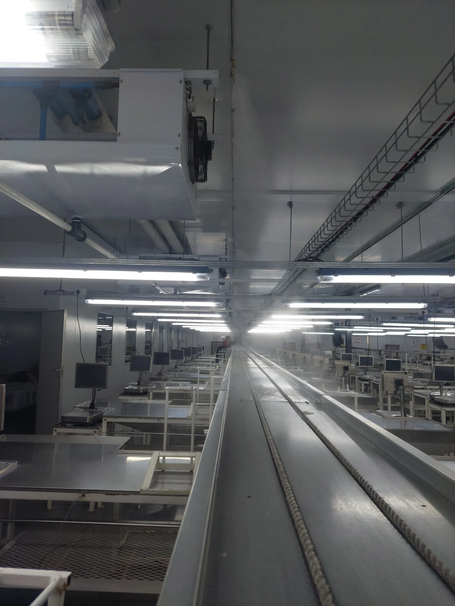 Fruit Packing & Cold Room