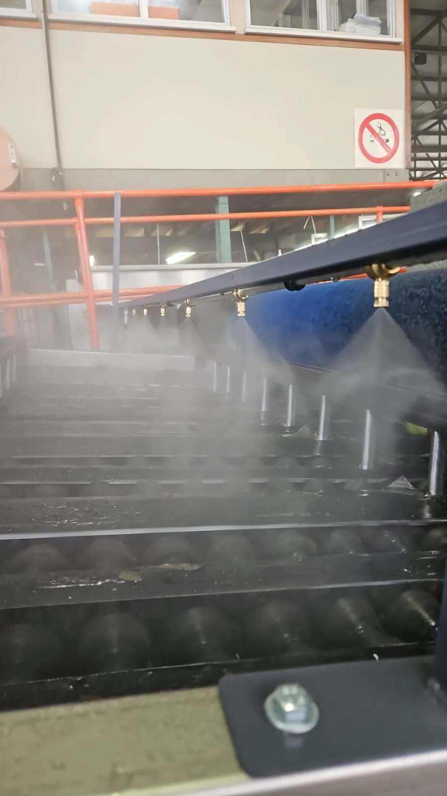 Packhouse conveyor fogging misting system biosecurity South Africa