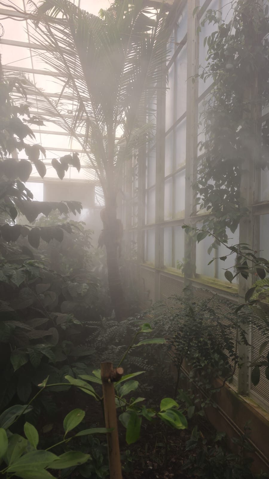 Greenhouse Humidity Control
