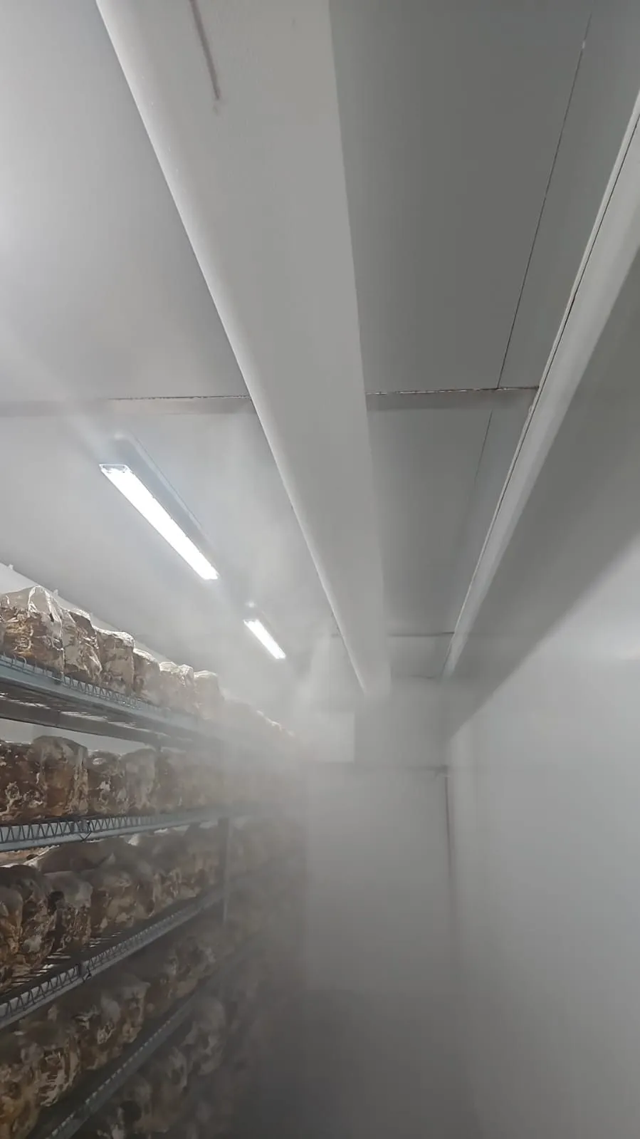 Mushroom Farm Humidity Control