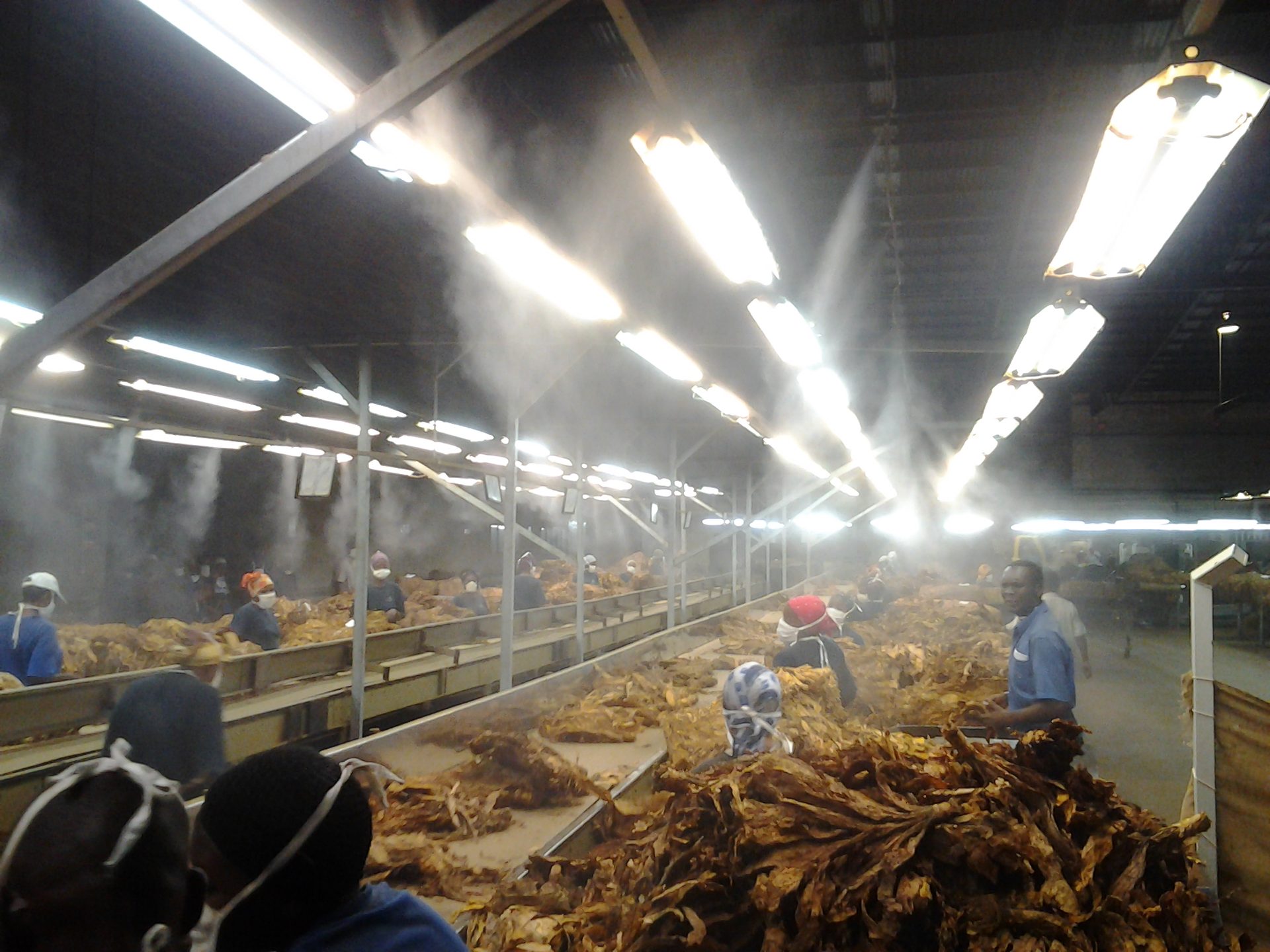Tobacco Humidity Control