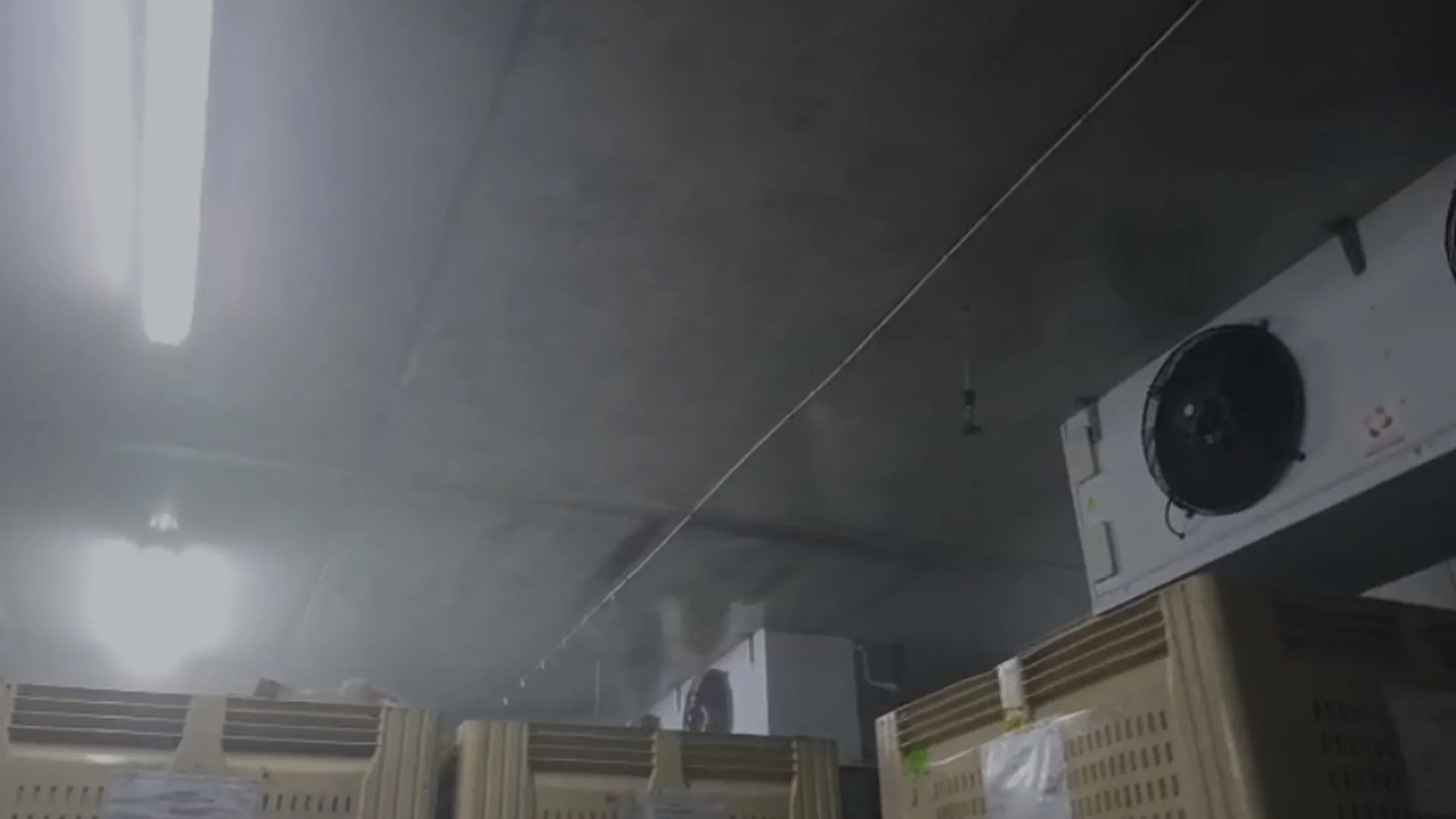 Cold room humidity control fogging system South Africa