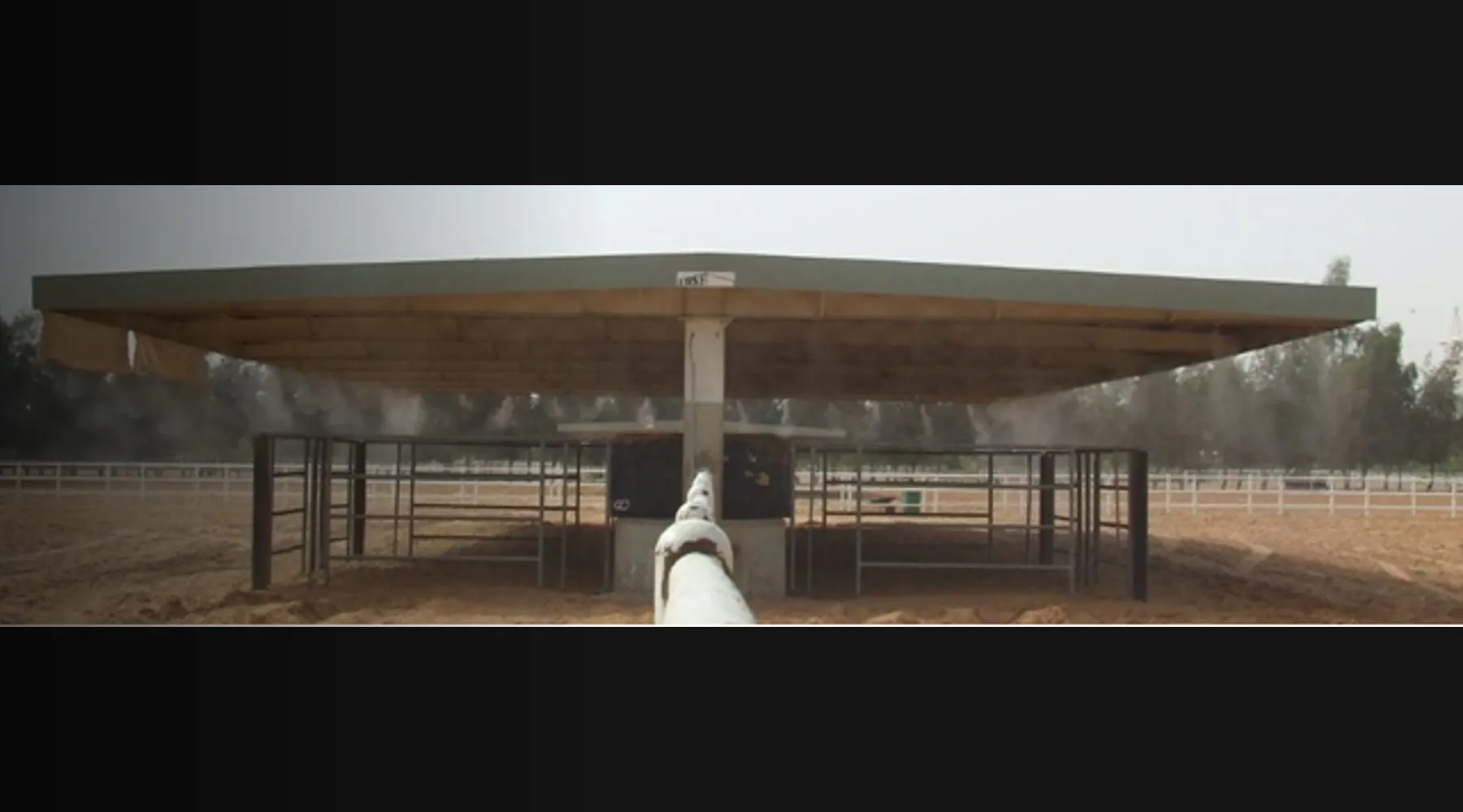Animal cooling misting system livestock and poultry farm South Africa
